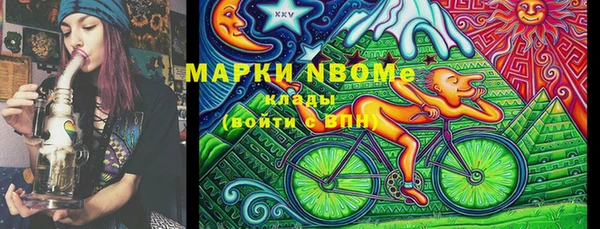 бошки Алексин